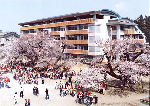 土浦 市 真鍋 小学校